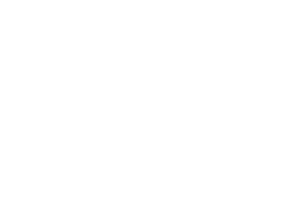 Joshua Tree Space Program Logo